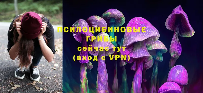 сколько стоит  Орск  Псилоцибиновые грибы Psilocybine cubensis 