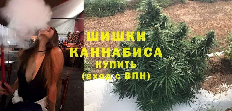 купить закладку  Орск  даркнет формула  Бошки Шишки Ganja 